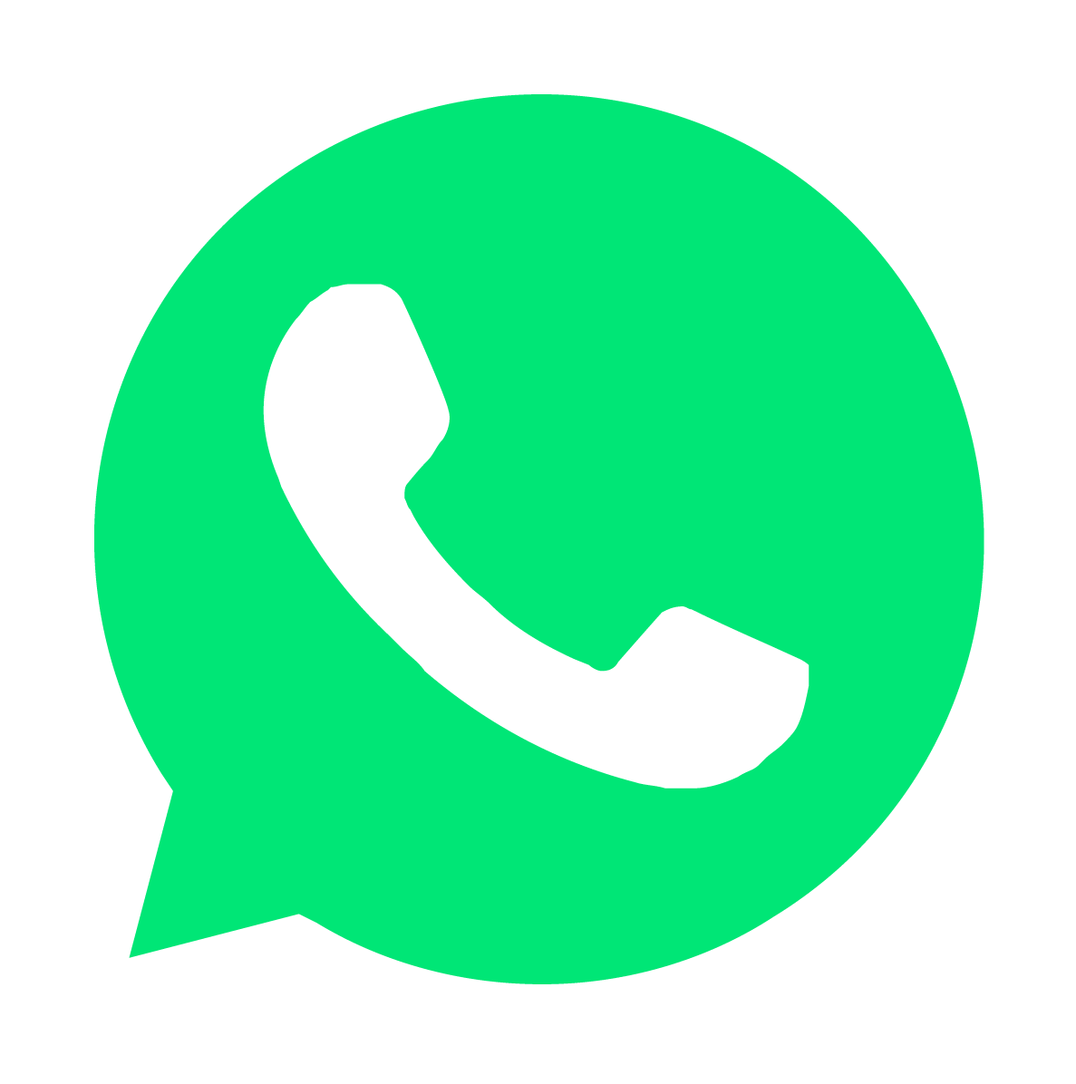 Grupo WhatsApp